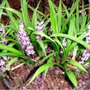 길상초등학교 이미지