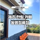 동명정류장 | 제주 한림 카페, 동명정류장 내돈내산 후기 / 주차 가능
