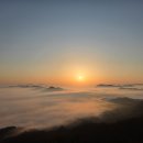 늘조은