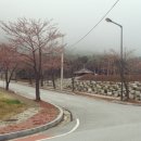 선운산농협웰파크지점 이미지