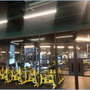 파라다이스 수영장 이미지