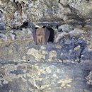 수산2리 이미지