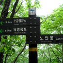 동해-단속-01 티스토리