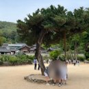 서원떡방앗간 - 동래구 명안로45번길 31 | 서원떡방앗간