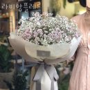 라비앙플레르