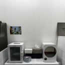 엔피케어울산