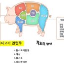 돼지고기 관련주 이미지