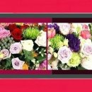 고령꽃집 이미지