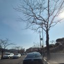 길주농장 | 해운대 기장 봄나들이 명소 반짝반짝 기장매화원