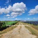 남진태양광발전소 이미지