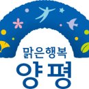 양평군청 티스토리