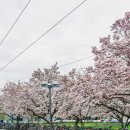 314007 | 뷔르츠부르크 여행*항공편부터 숙소까지, 알뜰한 휴가를 위해 특가를 찾아보세요