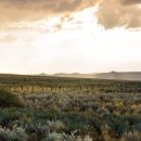 초원컴퓨터 이미지