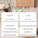 노셀프뷰티