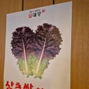 임스포츠 | 청주 동남지구 맛집 임대장, 다 구워져 나오는 모듬한판구이 또간집 후기