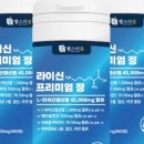 더 봄 이미지