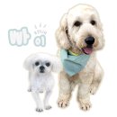 마루세끼 | 마루세끼 후기 4탄(애견수제간식,애견수제화식)