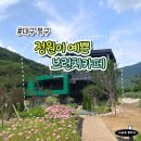 2.카페 | 대구 연경 신상 브런치카페 도덕 후기｜2살 아기랑 가기 좋은곳