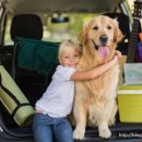 닥터파파동물병원 이미지