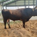 진흥축산 이미지