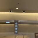 애터미 서면명품센터 | 서면 롯데백화점 명품 슈즈 리페어 센터 이용후기 -디올 J'Adior 슬링백 플랫 밑창 수선