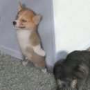 ㅋㅋ