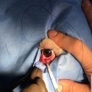 유림동물병원 이미지