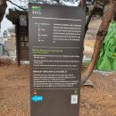 DMZ 평화의길 파주 6코스 이미지