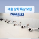 빅웨이브주짓수킥복싱