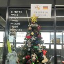 타이거 파라다이스 이미지