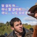 국제밀면 - 연제구 중앙대로1235번길 23-6 | 국제밀면