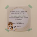 네네루카