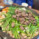 소사랑돼지꿈 이미지