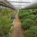 배론농장 이미지