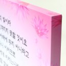 NF001 이미지