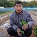 성호농장2 이미지