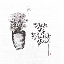 캘리그라피 이미지
