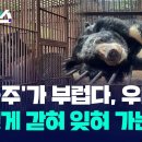 푸바오에 열광하지만 국내 방치된 사육 곰은 300마리 이미지