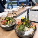 물댄동산안산지역아동센터 | 울산 원예치료 강사 학부모교육 연수 '내 마음의 다육이 정원' 만들기