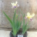 도천농장 이미지