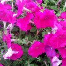 해용농장 이미지