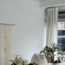 자곡로 | [리뷰] 에그콜렉티브 자곡점 백일 사진촬영 | 화이트 촬영 후기 | 아기 백일 스튜디오 추천