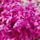 청천초등학교 병설유치원 이미지