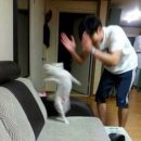 진화양꼬치