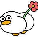 수퍼마켓플라워 이미지