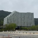 정선 파크로쉬 태교여행 추천 수영장 요가 부대시설 등 내돈내산 후기