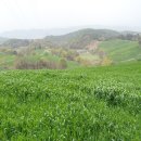 보리목장2 이미지