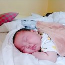 라고스테마 이미지