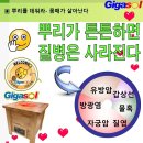 자궁 적출 수술을 한다기에~비염이면 코를 베어내버리나요? 이미지