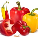 피엘의원 이미지